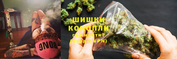 прущие грибы Инта