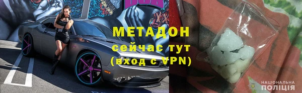 прущие грибы Инта