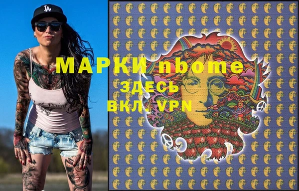 мдпв Инсар