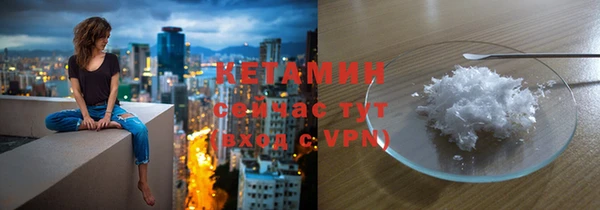 прущие грибы Инта