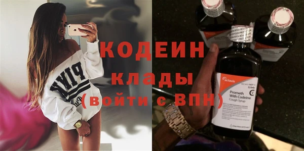мдпв Инсар