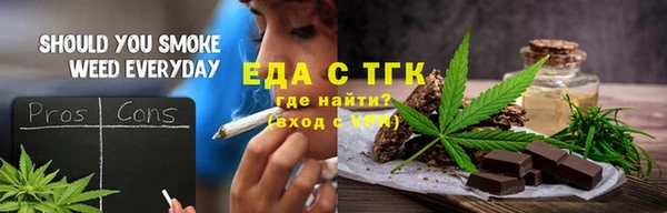 мдпв Инсар