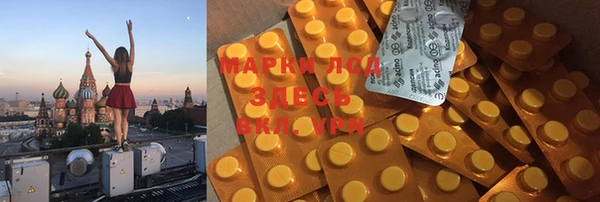прущие грибы Инта