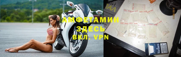 прущие грибы Инта
