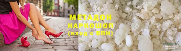 прущие грибы Инта