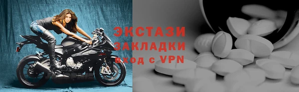 прущие грибы Инта