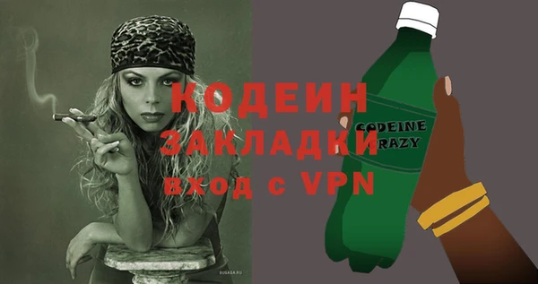 мдпв Инсар