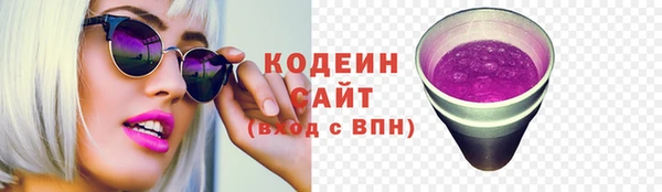 прущие грибы Инта