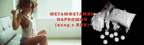 прущие грибы Инта