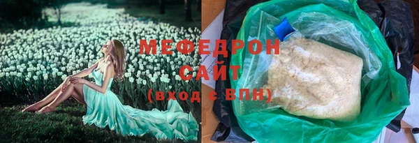 мдпв Инсар