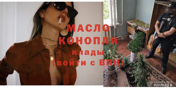 мдпв Инсар