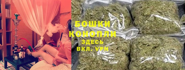 прущие грибы Инта