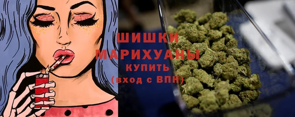 прущие грибы Инта