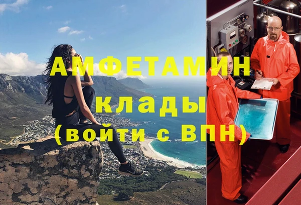 мдпв Инсар