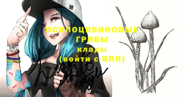 мдпв Инсар