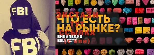 мдпв Инсар